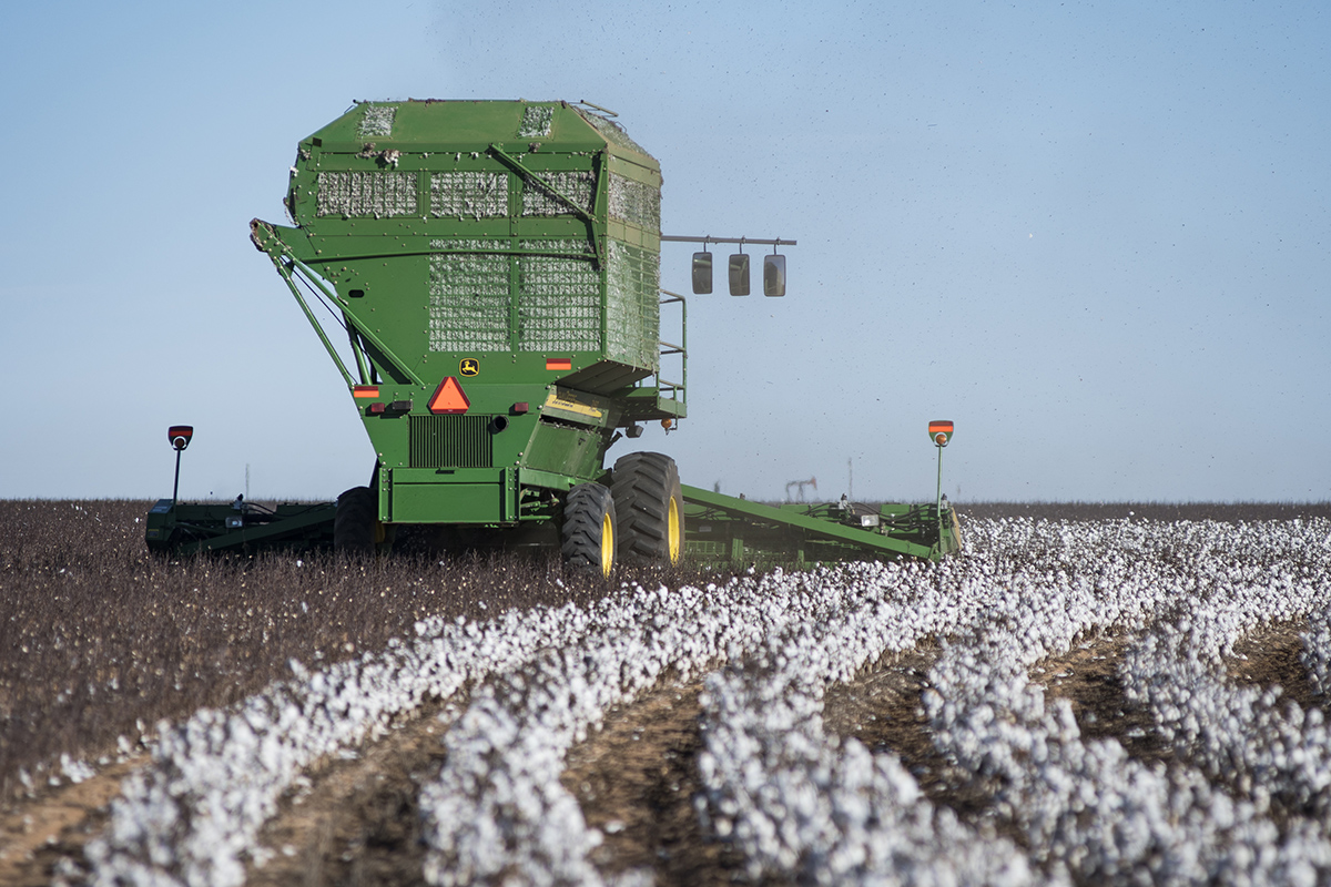 Ty uses cover crops of wheat to try and hold the soil down in between crops of cotton and waters only when needed but sometimes that isn’t enough. Herbicide-resistant weeds reluctantly require Ty to use older, more toxic chemicals and to till his fields.